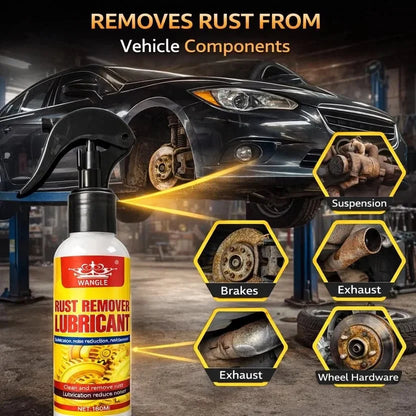 Rust Remover Lubricant 100 ml Pack of 1